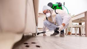 Pest Control for Restaurants and Food Service in Spring Lake, MI